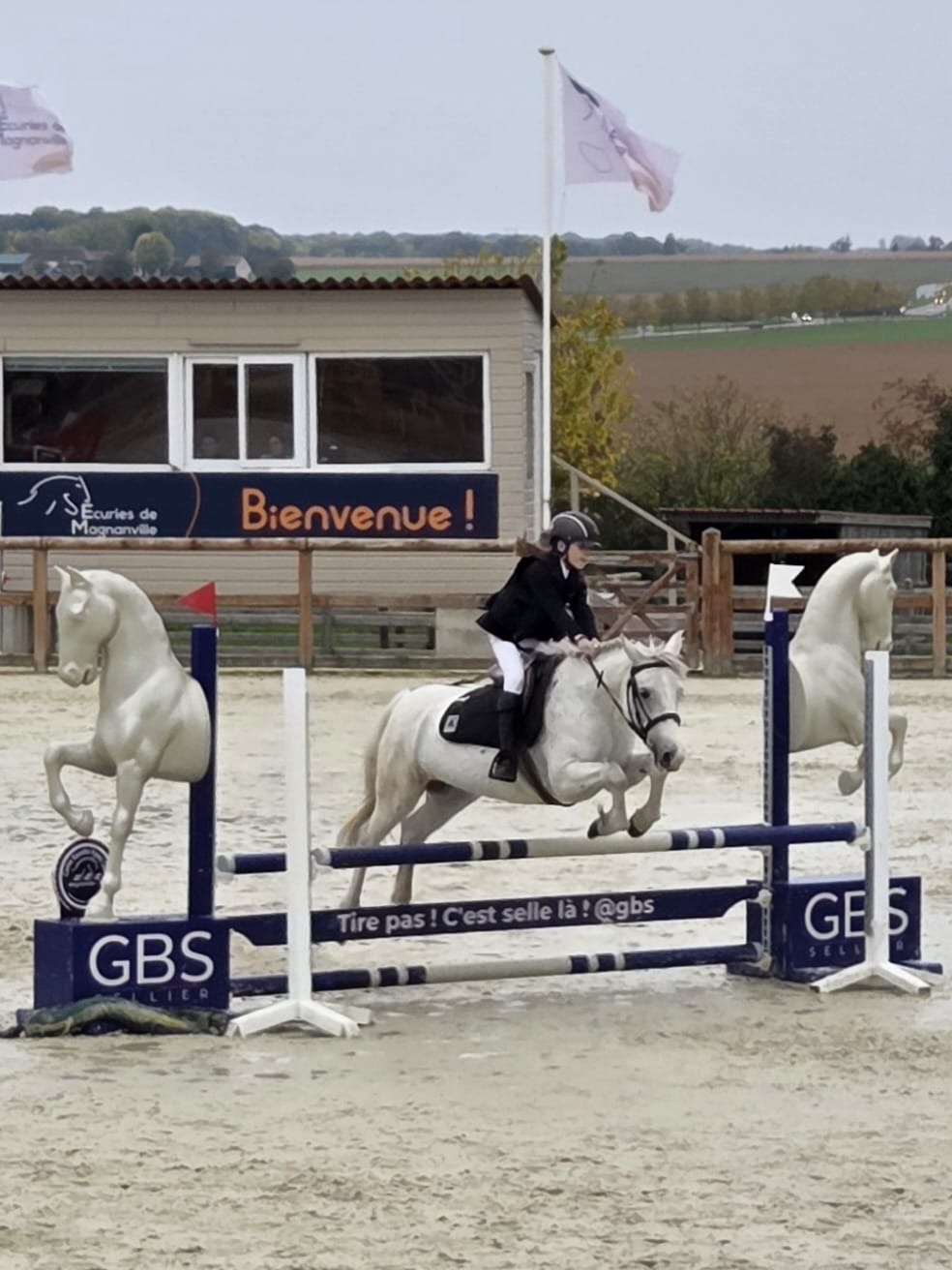 Saut de haie équestre